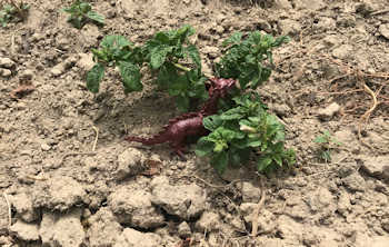 20210802 img 4368 hp