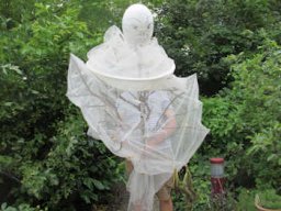 Das Trimagische Turnier August 2021