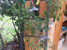 Uni-Kate am 19.11.2021