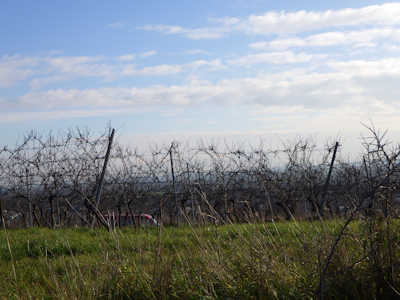 20230921 rimg0047 hp