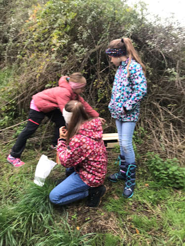 20250210 img 3457 hp