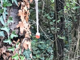 Elfen- und Feenweg 2024