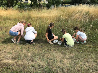 Färbetag - Blüten suchen