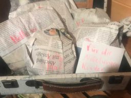 Drachen der Nibelungenaktion