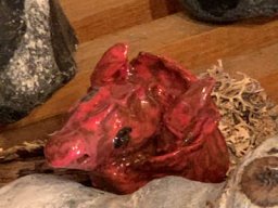 Drachen der Nibelungenaktion