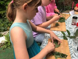 Unsere Kräuterdetektive 2025