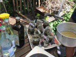 Unsere Kräuterdetektive 2025