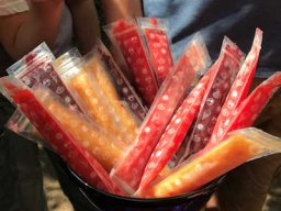 Unsere Kräuterdetektive 2025