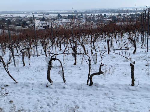 20260113 img 8797 hp