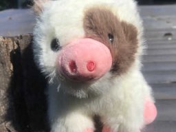 Schule der magischen Tiere