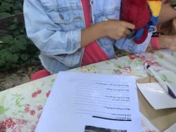 Schule der magischen Tiere