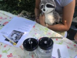 Schule der magischen Tiere